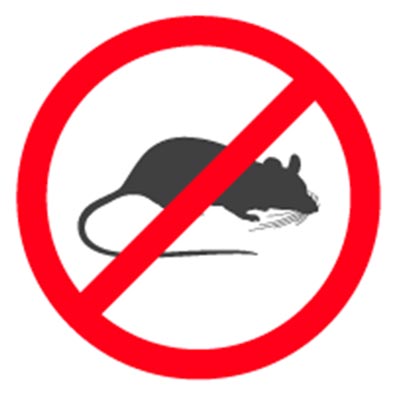Rat Rodent Exterminators in Simi Valley and Ventura County CA Rat Rodent Exterminators in Simi Valley and Ventura County CA