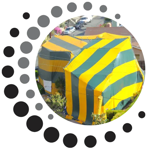 Fumigation Tent
