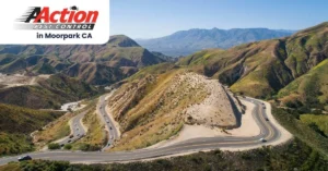 Pest Control in Moorpark CA