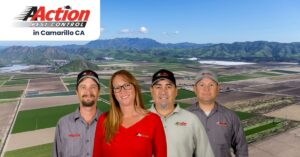 Pest Control in Camarillo CA