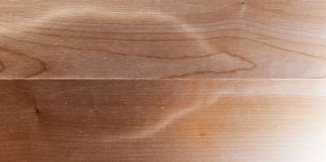 Calabasas Termite Inspection