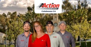 Termite Inspection in Calabasas California